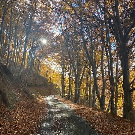Gîte de charme en plein cœur de l’Ardèche verte La Rochette  Extérieur photo