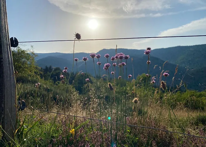 Gîte de charme en plein cœur de l’Ardèche verte