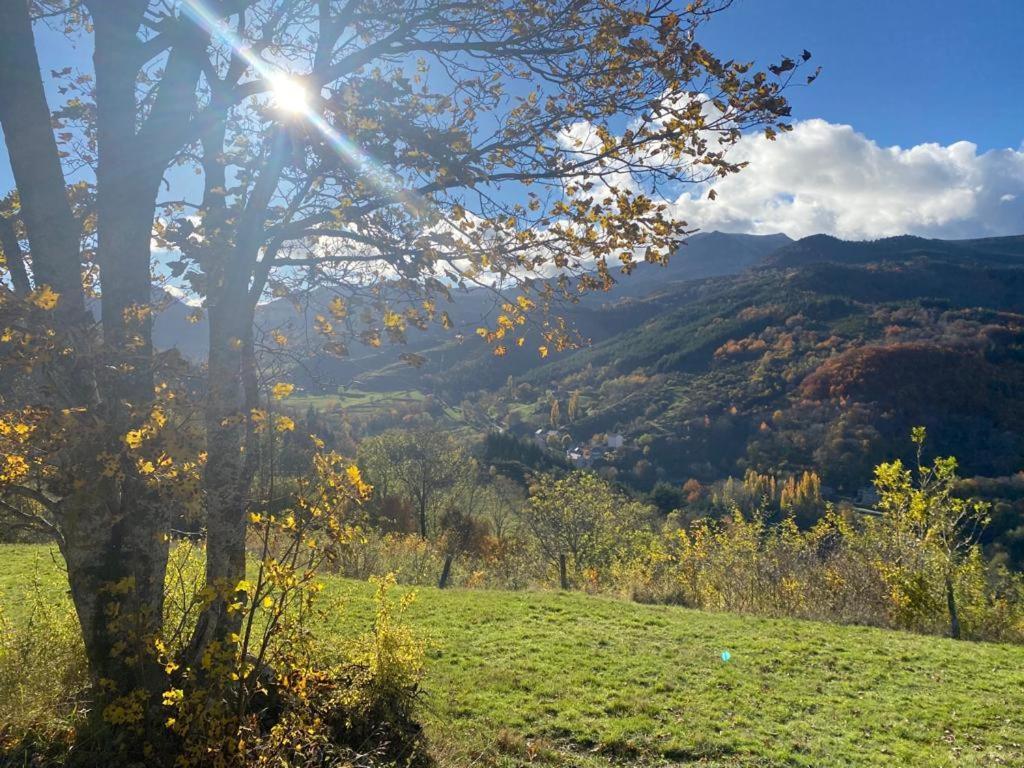 De Charme En Plein Cœur De L’ardèche Verte *