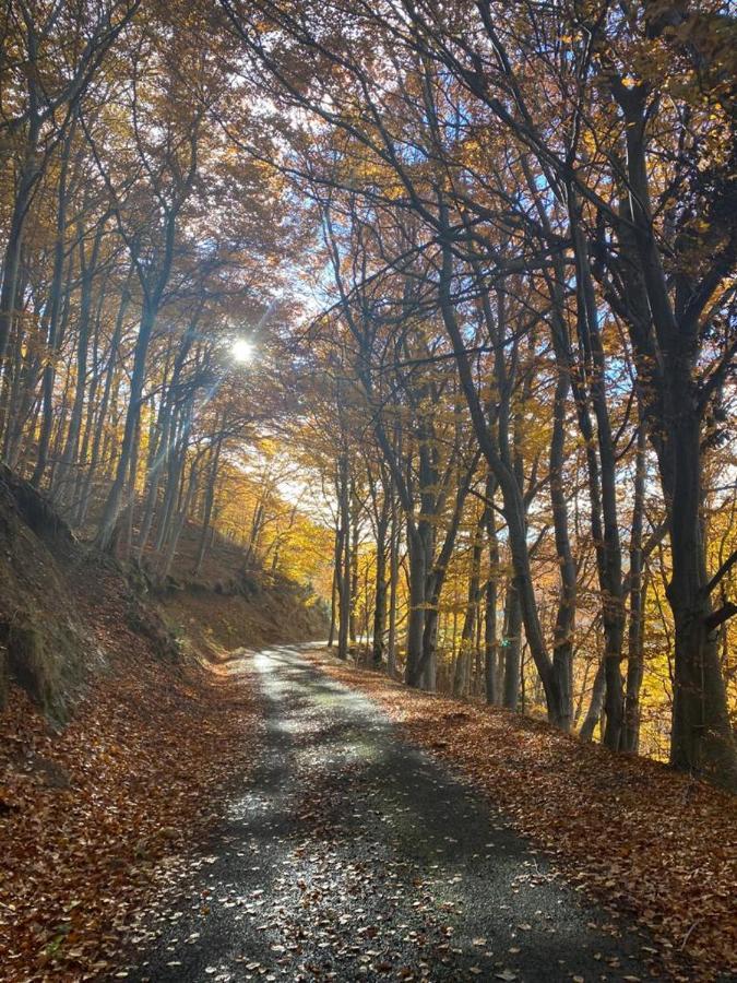 De Charme En Plein Coeur De L'ardeche Verte