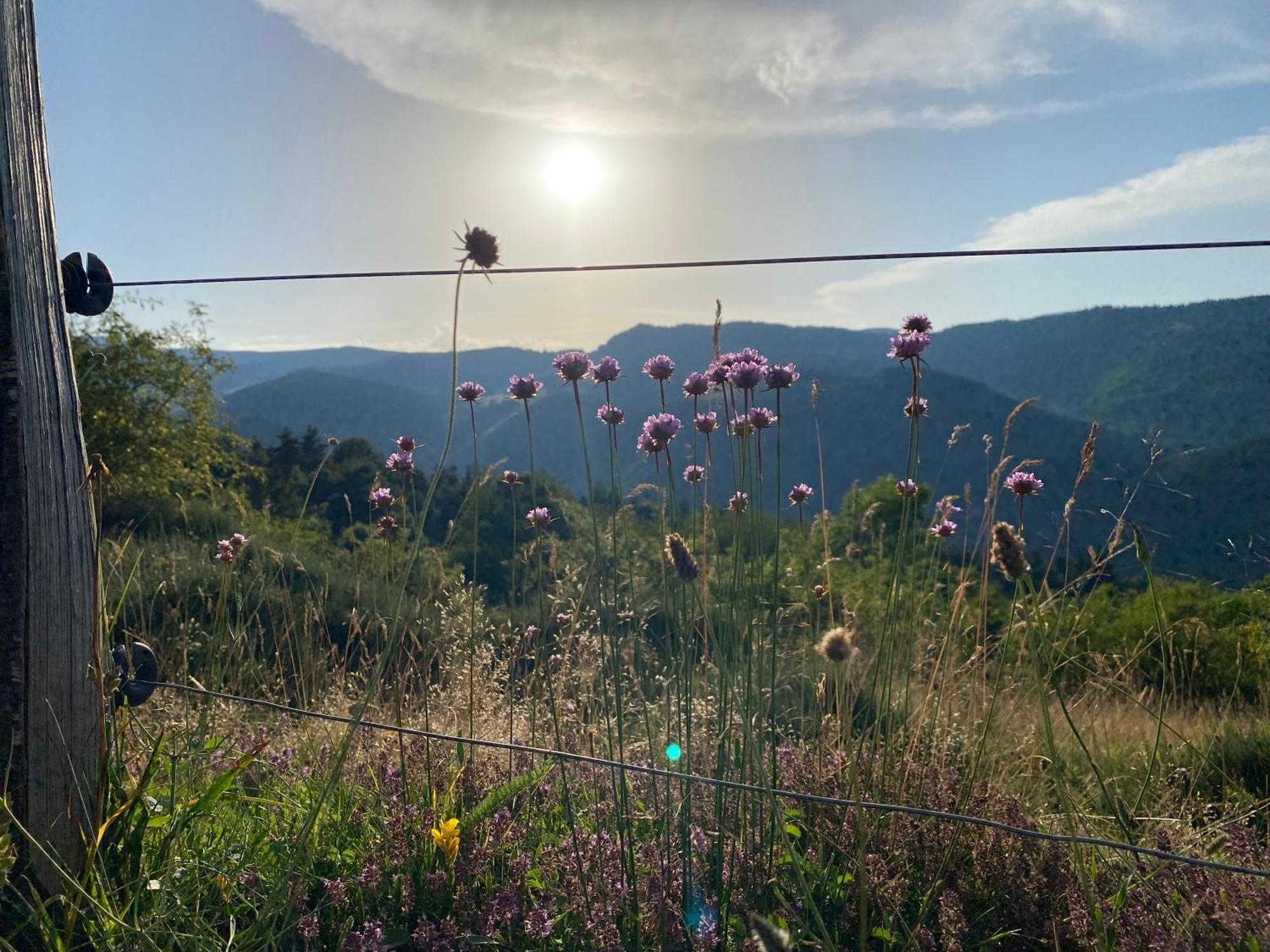 De Charme En Plein Cœur De L’ardèche Verte * La Rochette (Ardeche)