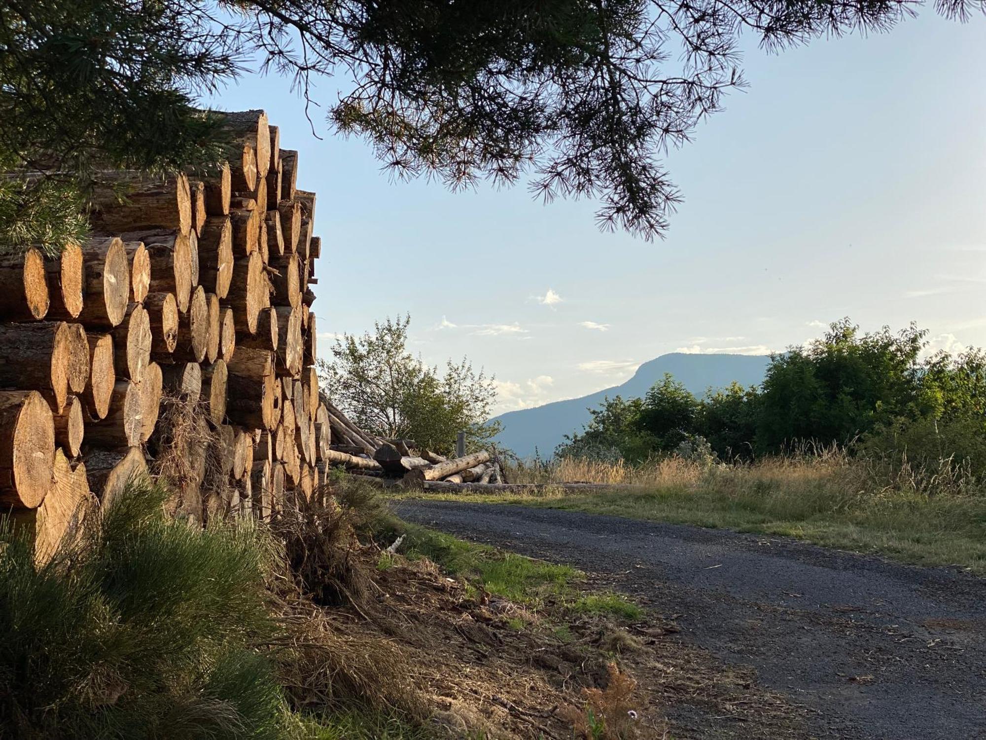 De Charme En Plein Cœur De L’ardèche Verte Vakantiehuis *