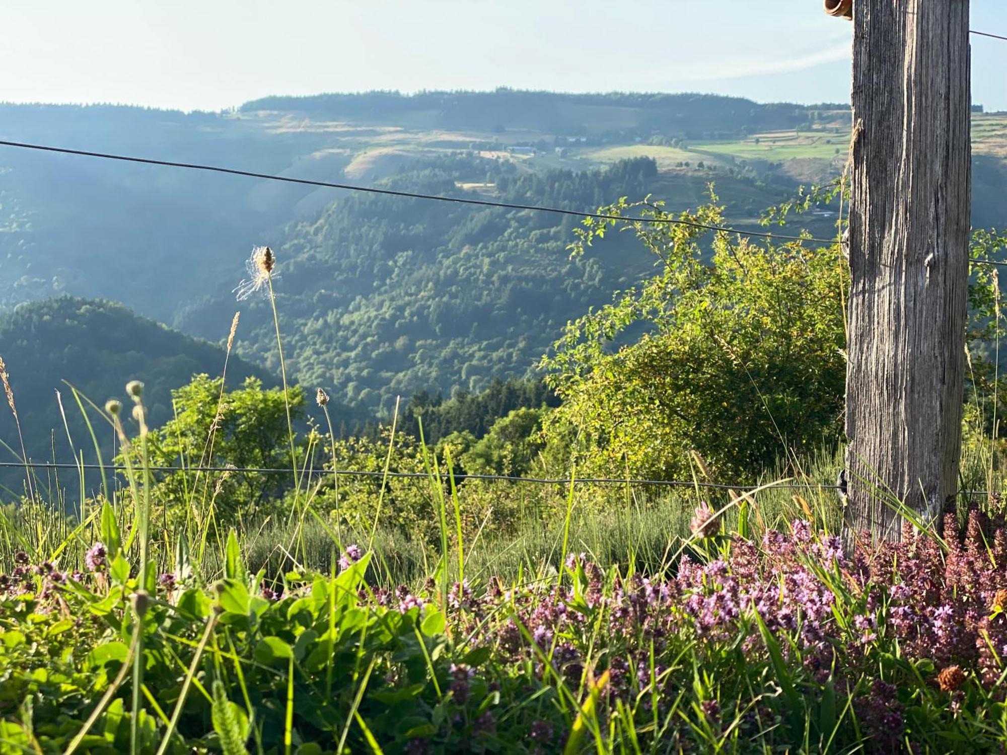De Charme En Plein Cœur De L’ardèche Verte